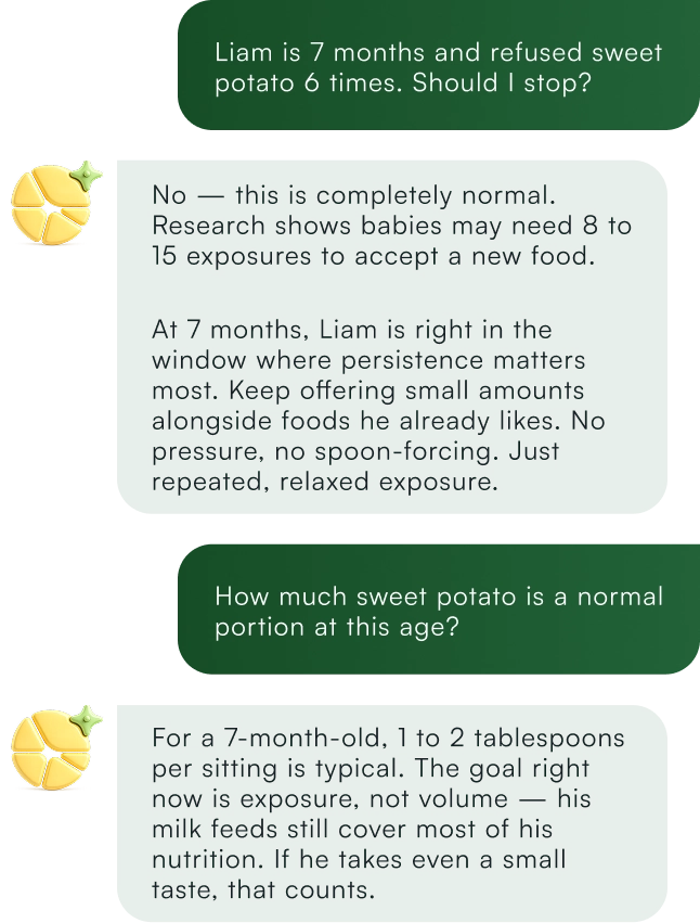 Nora AI Chat